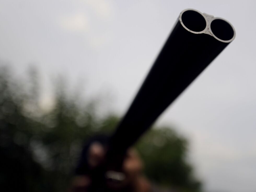 Zaradi incidenta na vaji z orožjem v Vorchdorfu uveden disciplinski postopek proti častniku