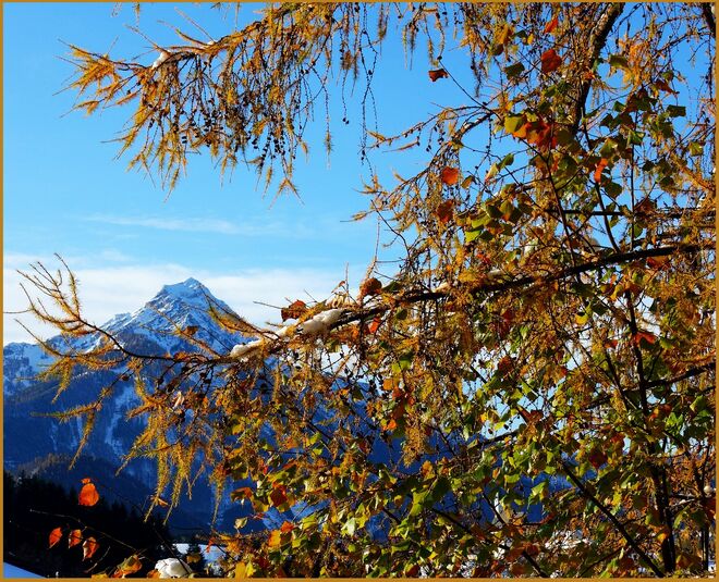 . . . doch noch einmal Farben . . . 