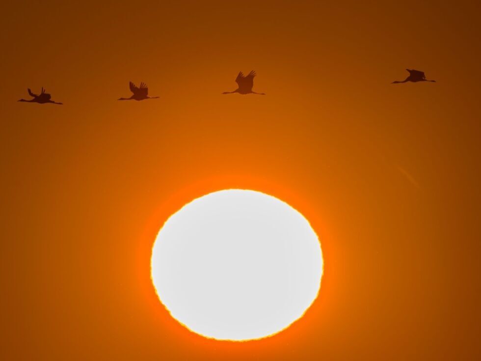 Drittwärmster September seit Beginn der Aufzeichnungen