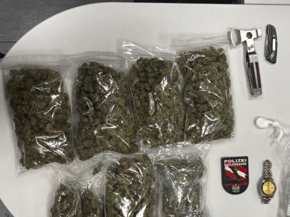 Drogendealer in Wien festgenommen