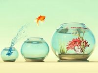 Durchstarten mit der Lehre