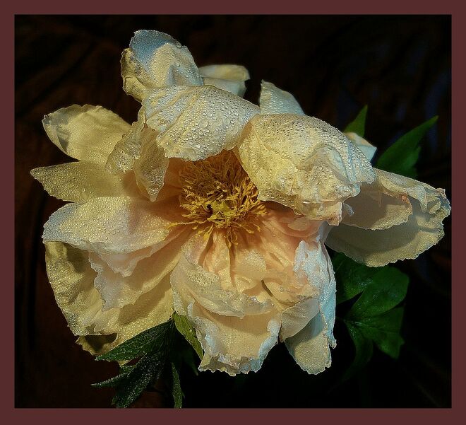 . . .  durfte sie mitnehmen . . .