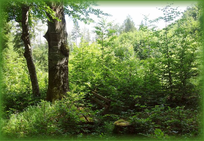 ES WAR EINMAL ... ein beliebtes Aussichtsbankerl ...