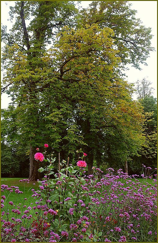 Ein erster Herbsthauch zog über den Park