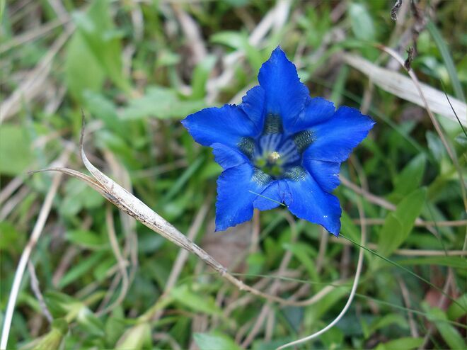 . . . heute ganz neu 