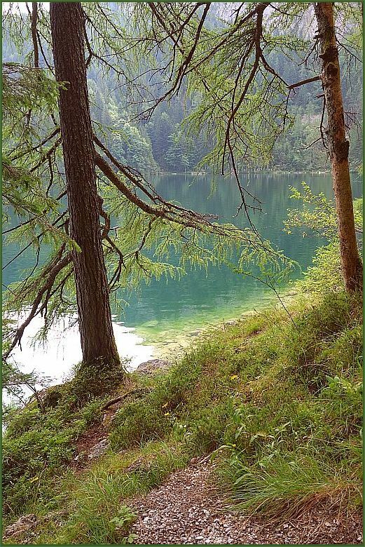 Ein Stück Gleinkerseeufer . . . 