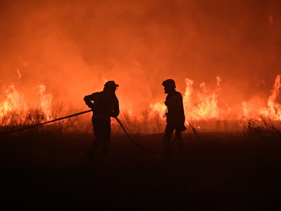Gozdni požari v EU uničili rekordnih milijon hektarjev zemljišč