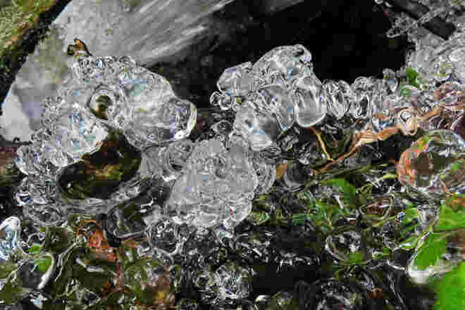 "Eiswurm" oder "Eisperlenkette"