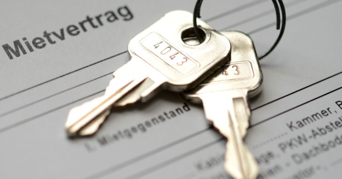 Erste eigene Wohnung wegen Selbstständigkeit und Freiheit | SN.at