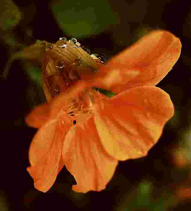 . . .  in einer Regenpause