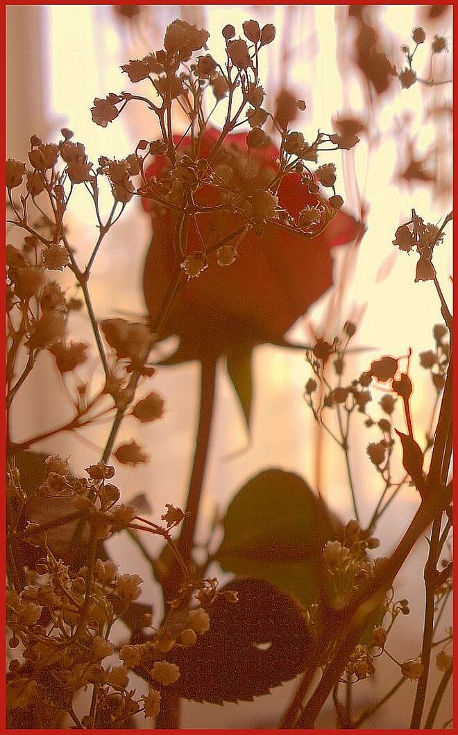 . . . für den Valentinstag . . .