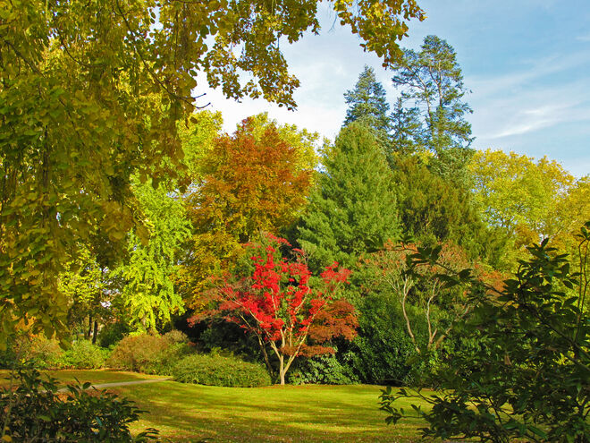 Farbenfroh in den Herbst