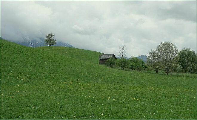 . . .  einzeln mit Rundblick . . .
