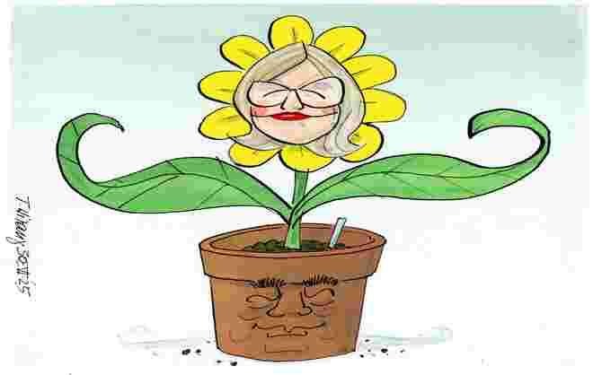 Flower-Power ...