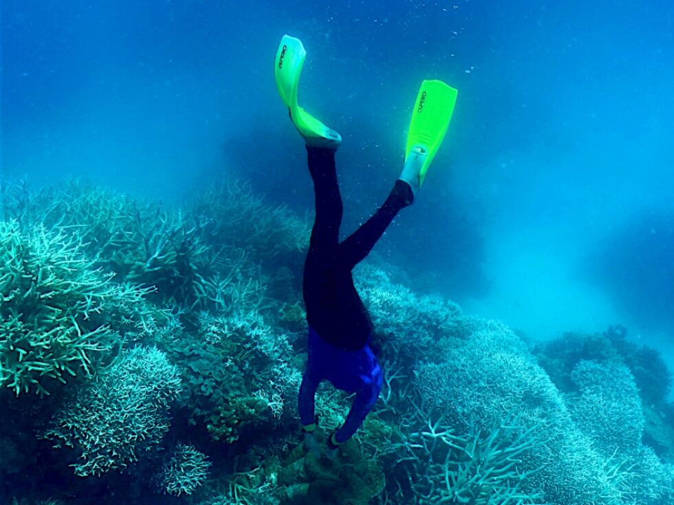 Klimatske spremembe Zemljo potiskajo proti nevarnim prelomnim točkam, opozarjajo znanstveniki