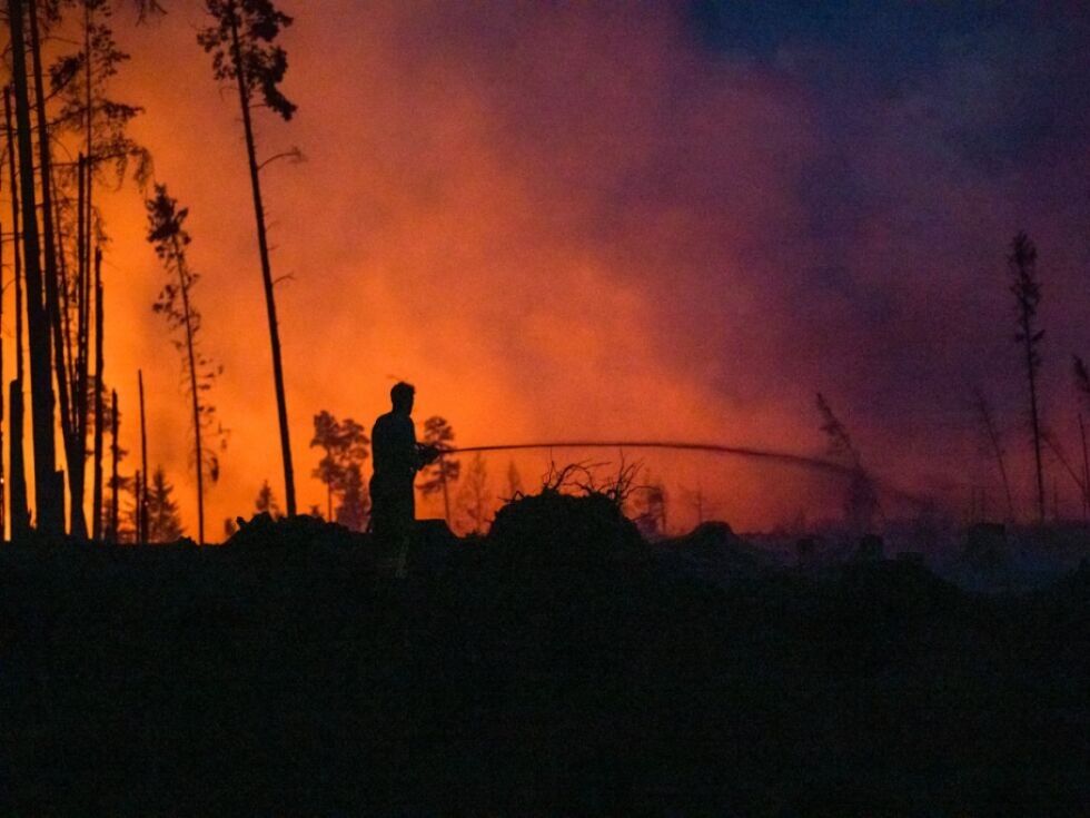 Zaradi podnebnih sprememb in človeške neprevidnosti se povečuje nevarnost gozdnih požarov v Avstriji