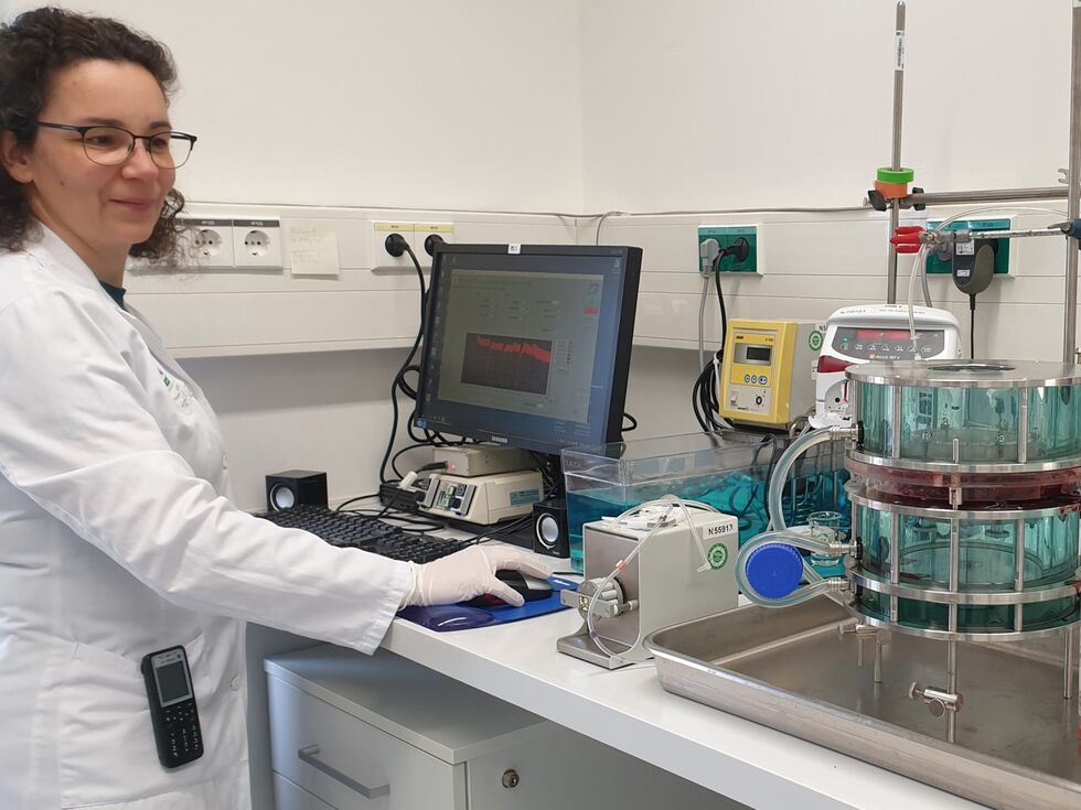 Forscherteam entdeckte frühen Plazentaschaden durch Feinstaub