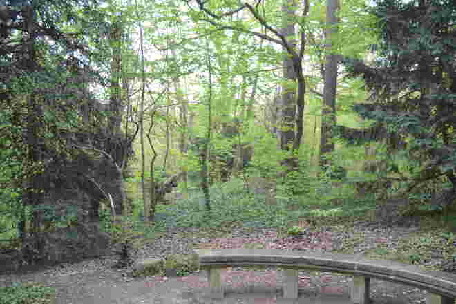 Der wilde Schlosspark