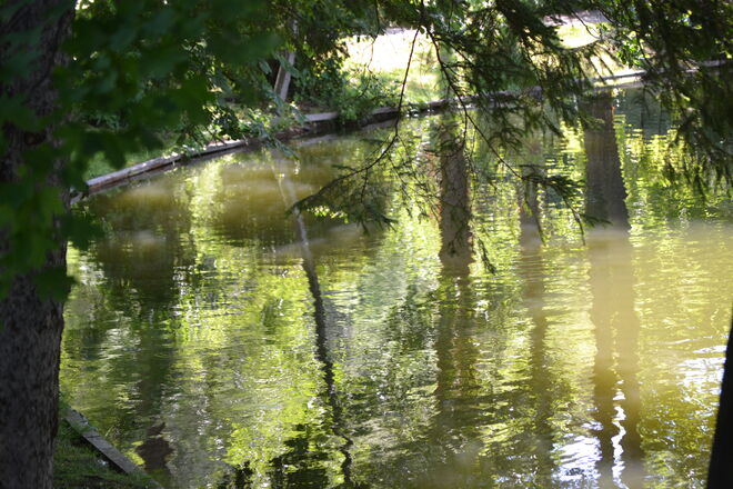 Komposition in Grün