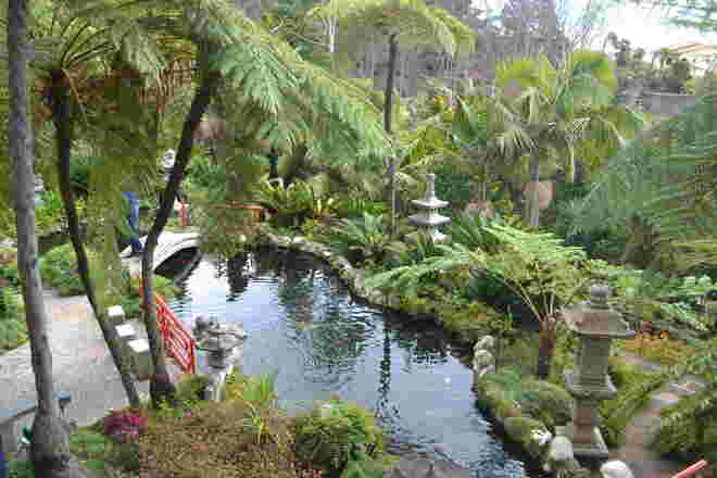 Üppiger Park