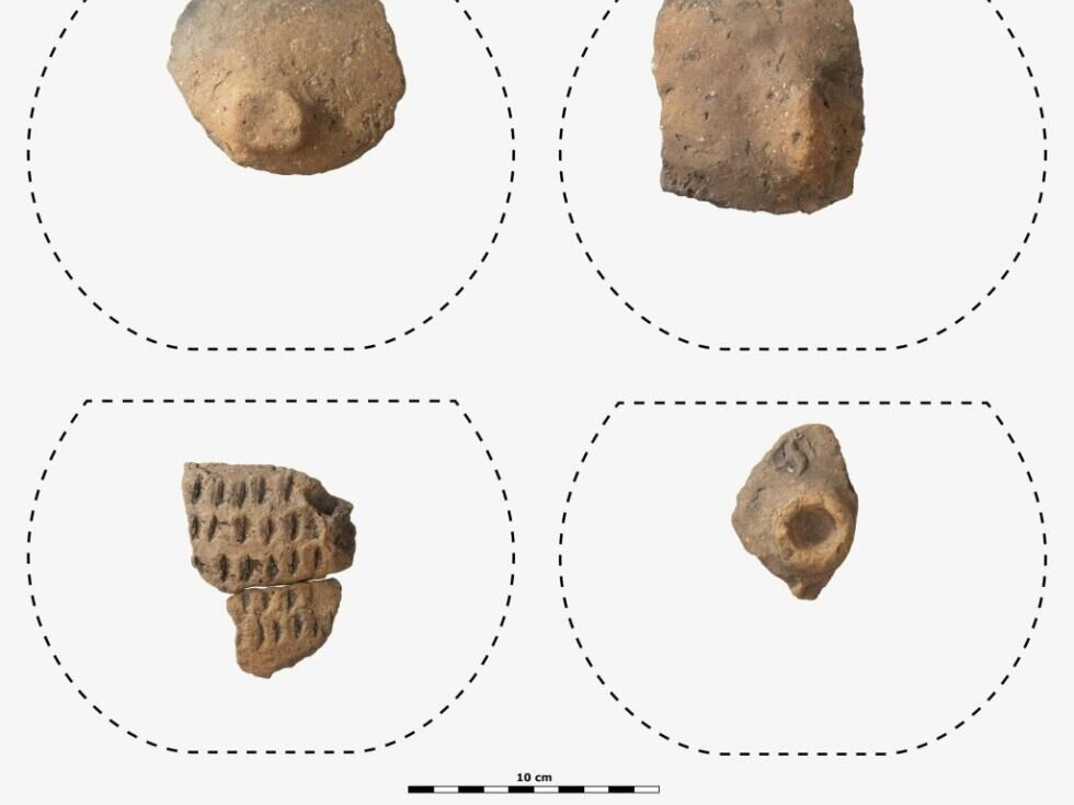 Funde aus Hallstatt weisen Siedlung vor 7.500 Jahren nach