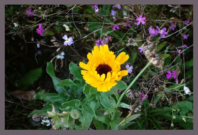 . . . unermüdlich . . .