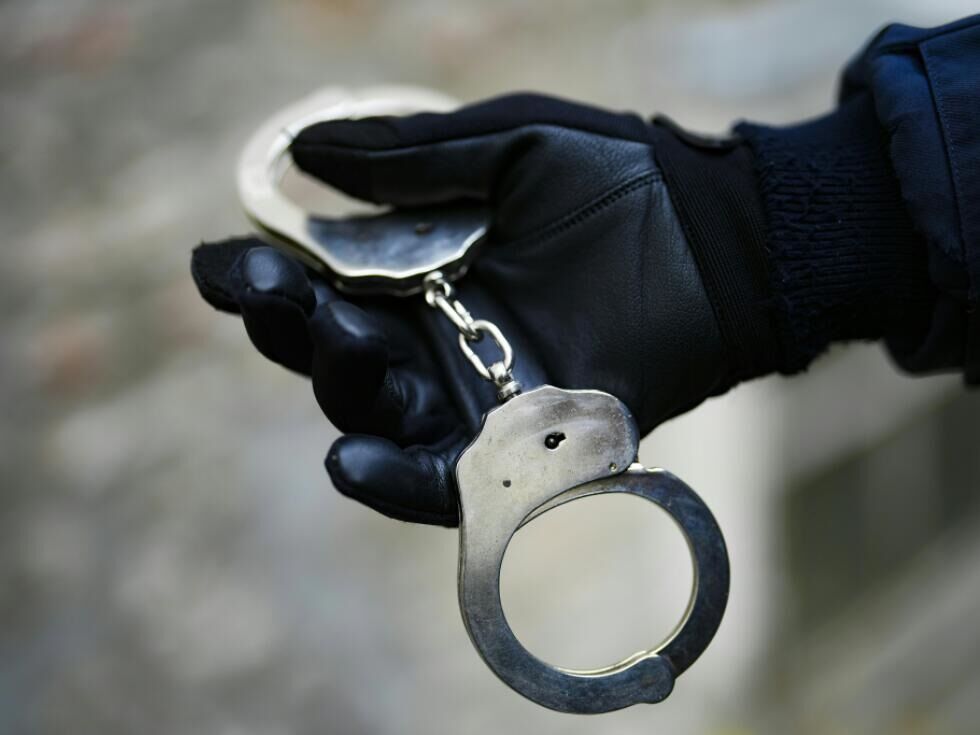 V Dunaju 18-letnik napadel policiste na policijski postaji, štirje poškodovani