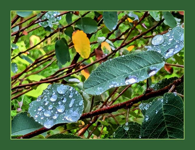 glitzer - glitzer . . . .