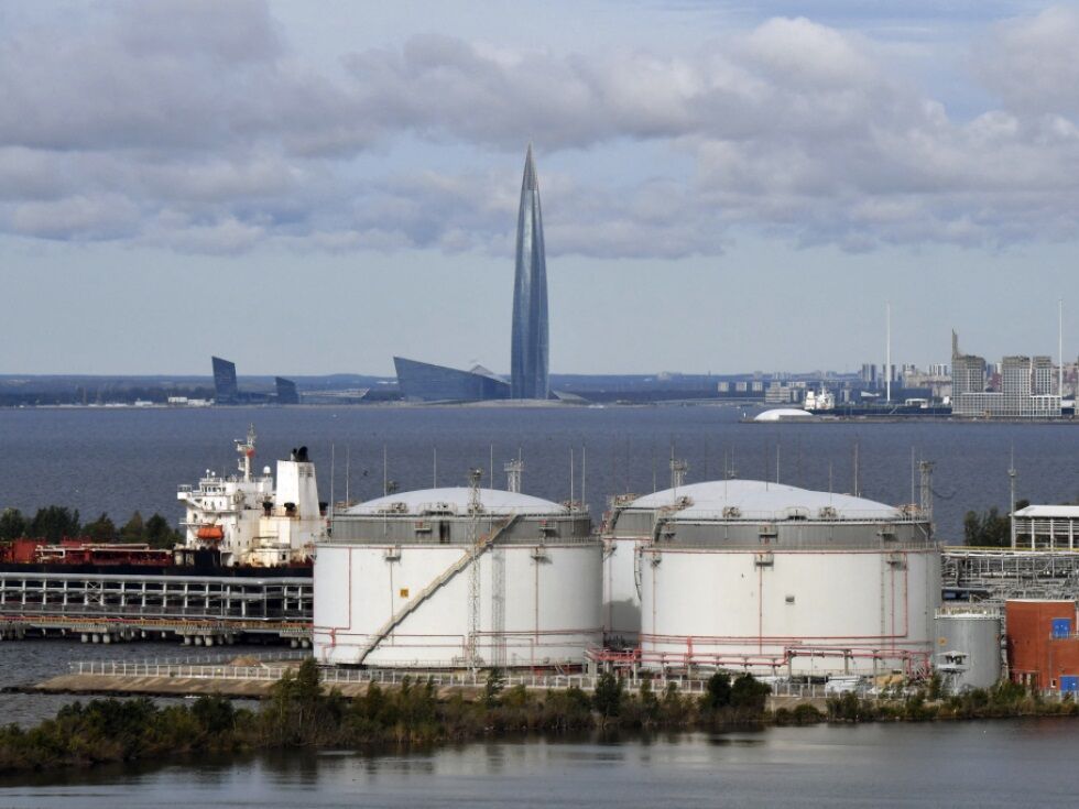 Greenpeace: Russland in einer ökologischen Abwärtsspirale