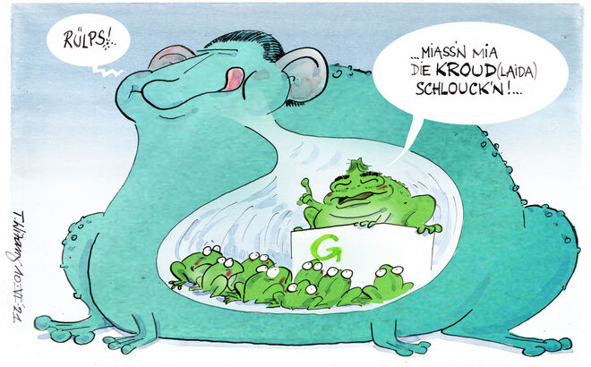 Grünen Parteitag . .  .