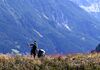 Grüner Pass und Impfungen verstärken Lust auf Sommerurlaub