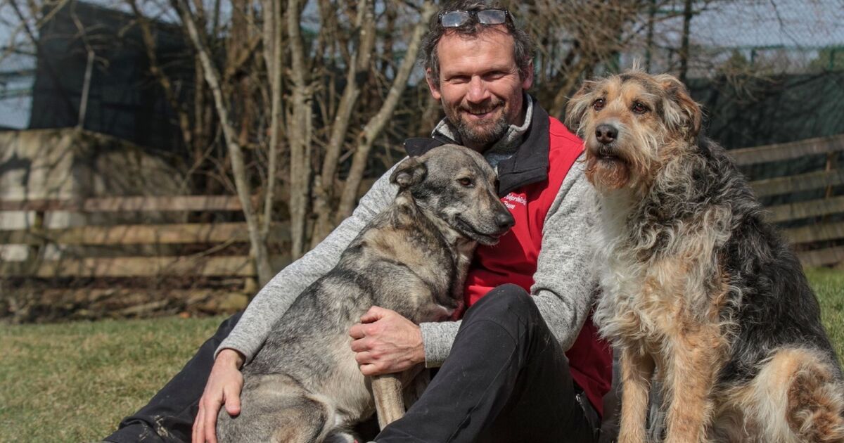 Gut Aiderbichl hat im Vorjahr 469 Tiere gerettet SN.at
