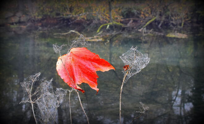 "HERBSTSYMBOLE"