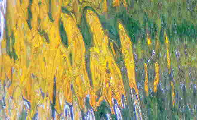 "HERBSTSPIEGELUNG II"