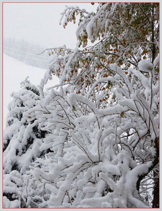 . . . ein herzlicher Wintergruß . . . 