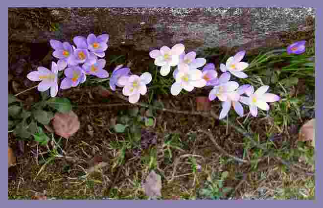 . . . heute ist "unser" Tag . . . 