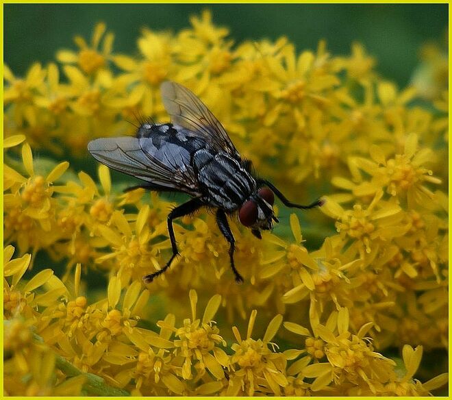 Hier bleibt keiner hungrig