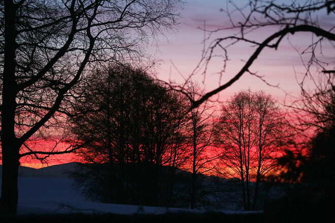 Jeden Tag anders.....