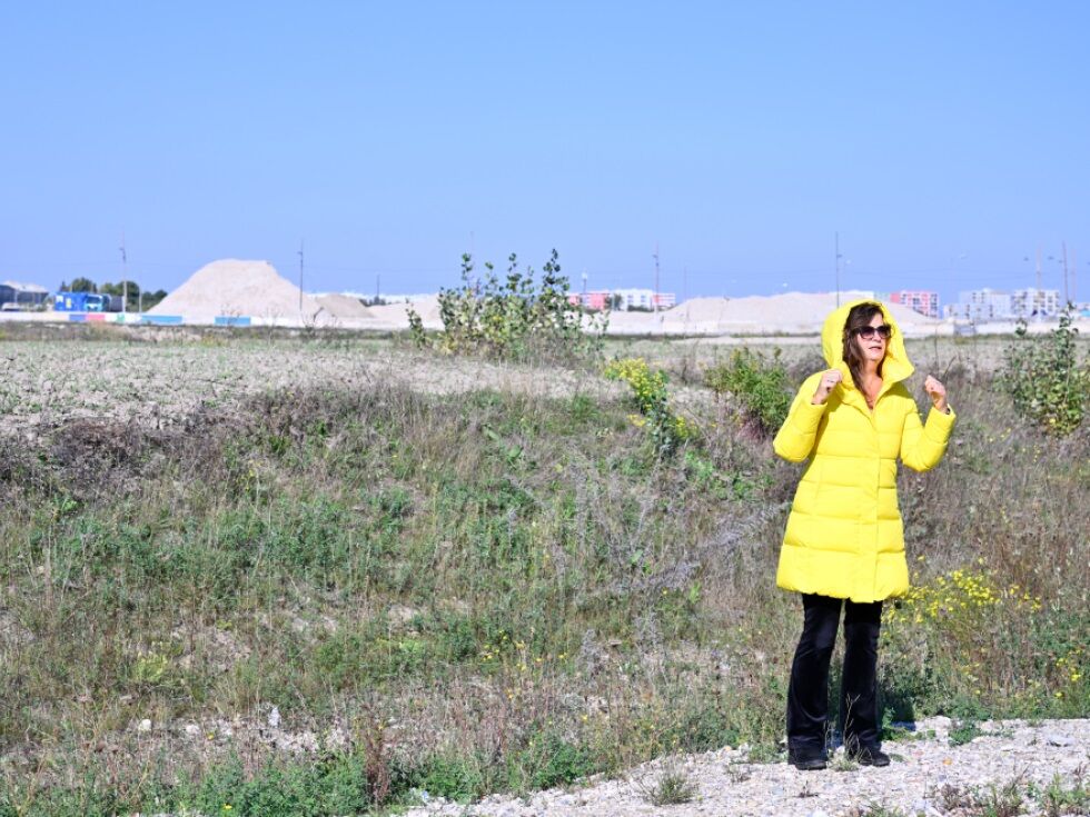 Hoffen auf weiteren Ausbau der Wiener "Seestadt"