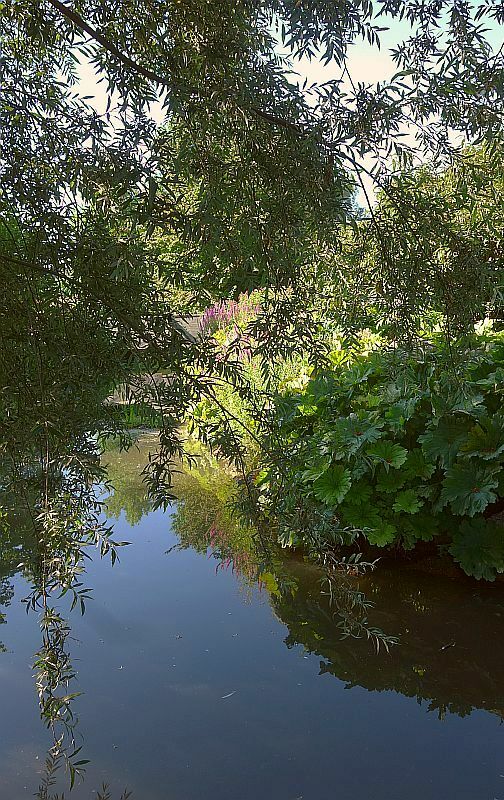 Baumschatten und Wasserblau