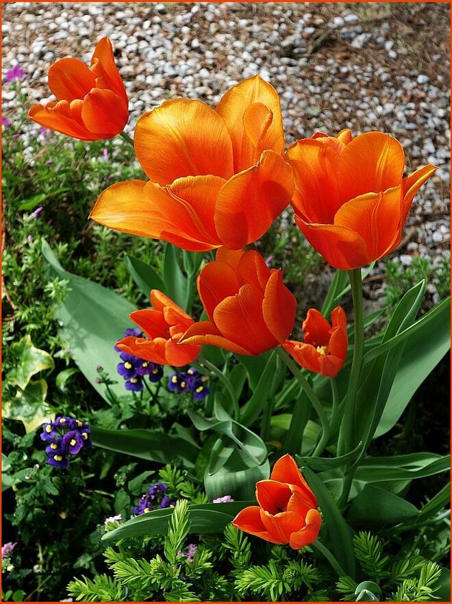 -- im Vorbeigehen --