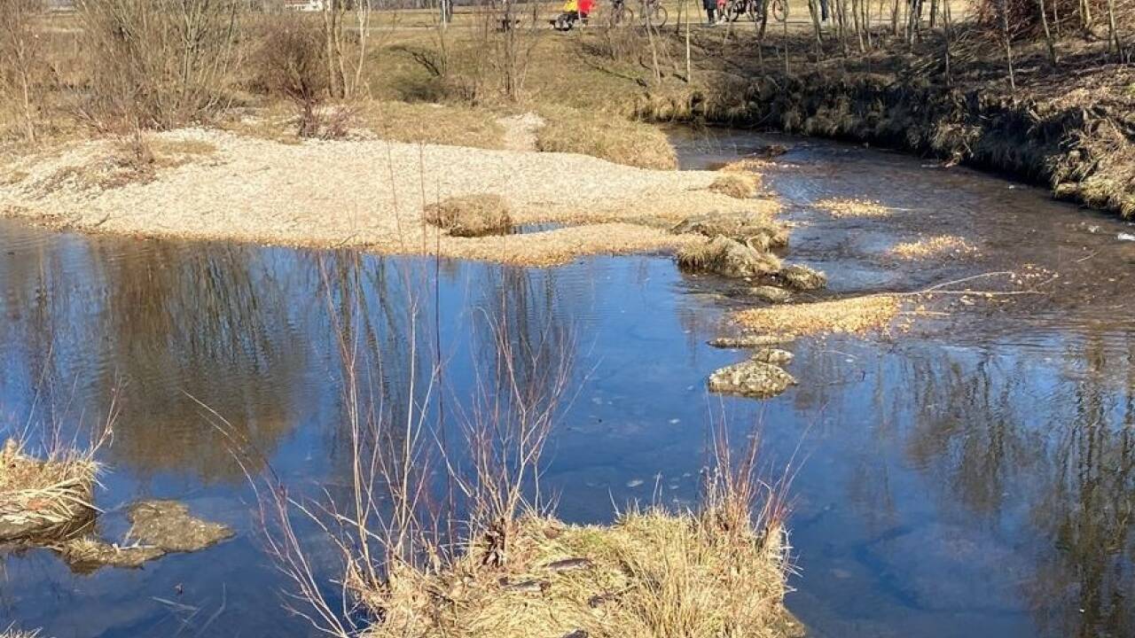 Die Spurendes Otters an der renaturierten oberen Glan. 