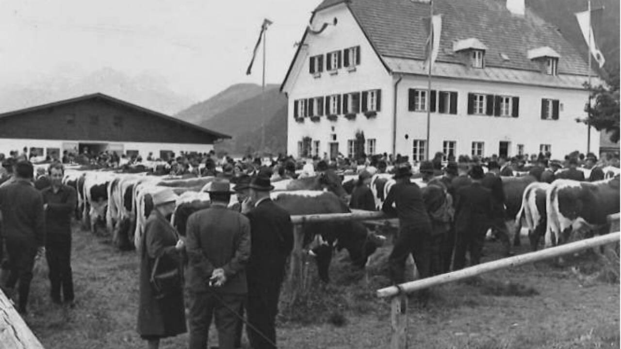 Aufnahme von der 300. Versteigerung in Maishofen am 29. Mai 1969.  