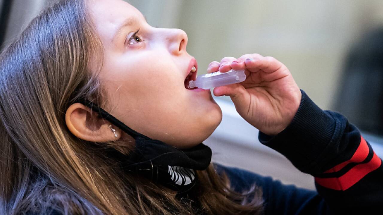 Studie an Volksschulen, Mittelschulen und AHS-Unterstufen 