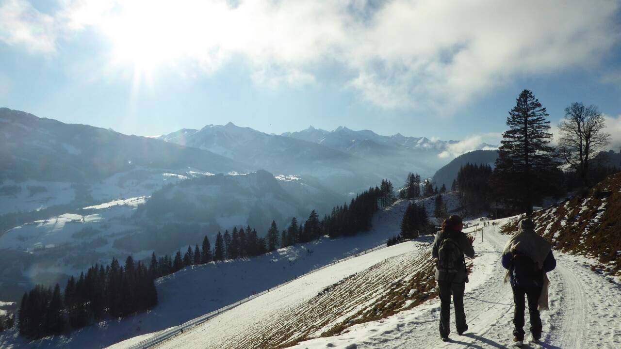 Der Güterweg zur Meislsteinalm mit Blick auf die Hohen Tauern.  