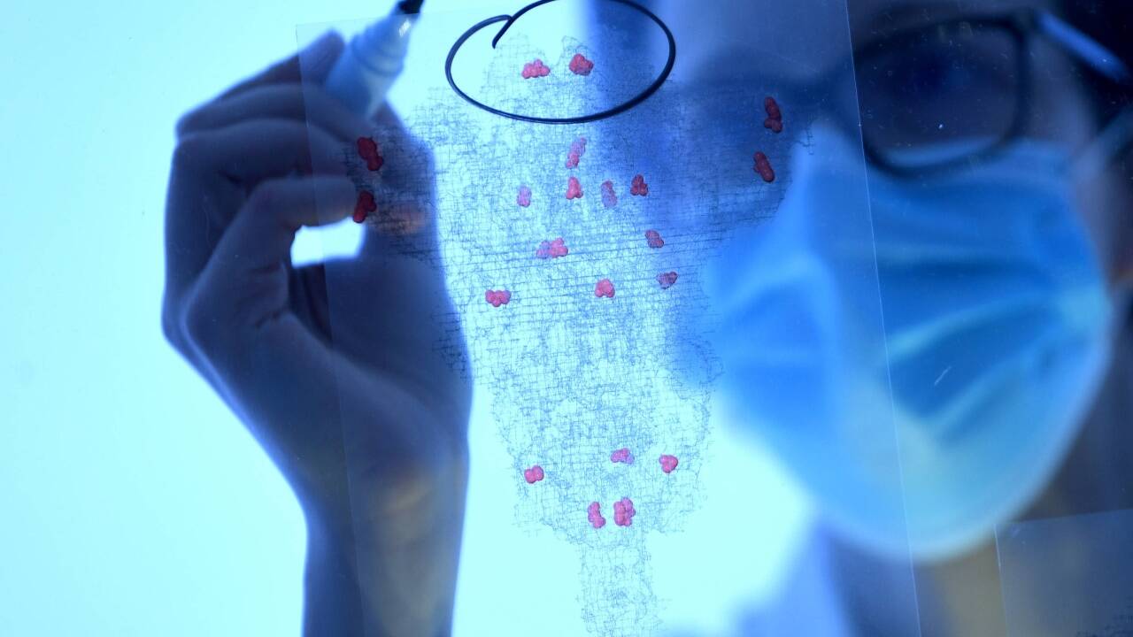 Die 'Mutantenjägerin' Luisa Cochella beim Betrachten der Strukturen von Corona-Spike-Proteinen mit Mutationen in einem Labor der 'IMBA' am BioCenter in Wien fotografiert am 26. Februar 2021 (Symbolbild). 