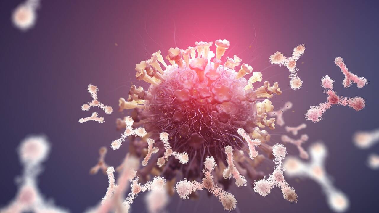 Das Virus hält die Welt weiter in Atem – in all seinen Varianten (Symbolbild). 