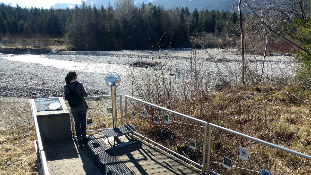 Der Blick über das Tauglgries mit dem Hohen Göll im Hintergrund. 
