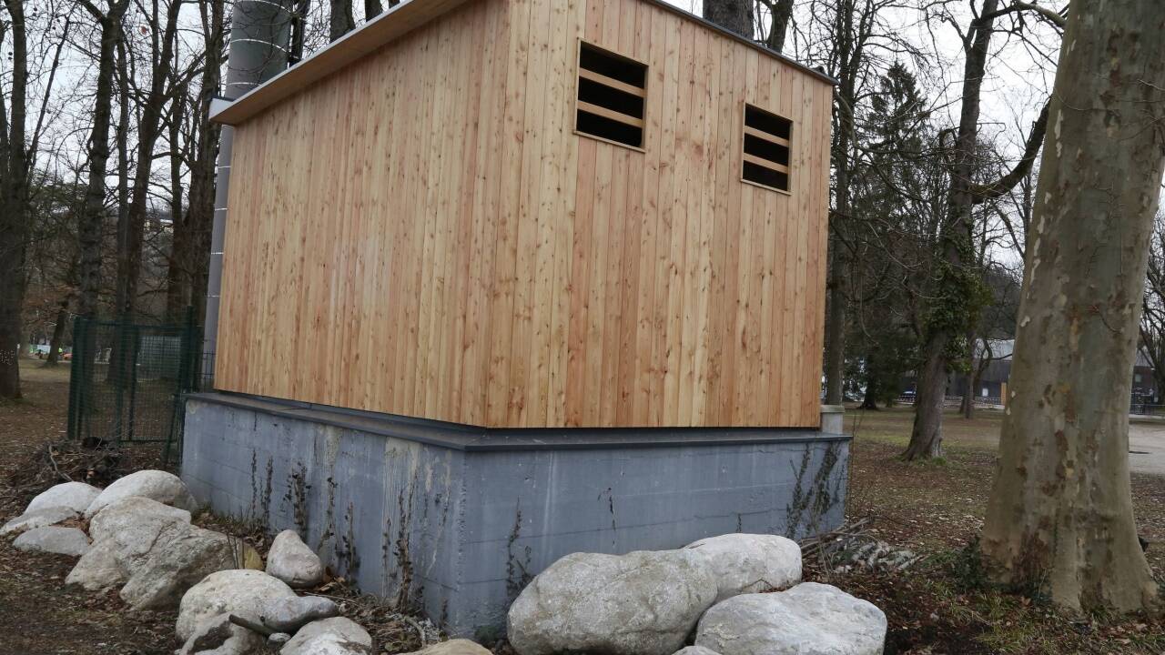 Ein Haus für die Fledermäuse im Volksgarten.  
