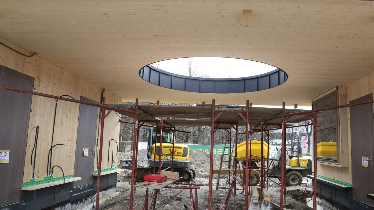 Durch die Öffnung zwischen den beiden Pavillons wird die Krone eines Tulpenbaums ragen.  